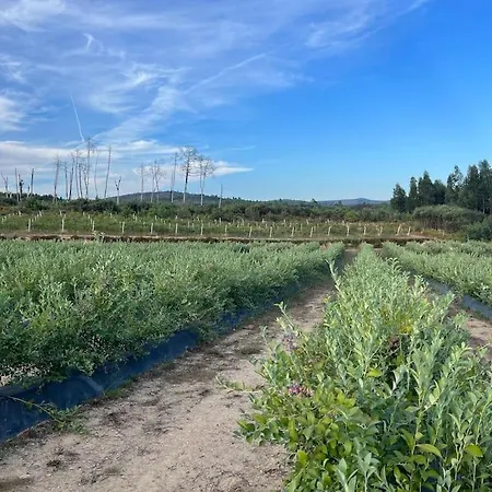 Quinta Do Carregal Mangualde
