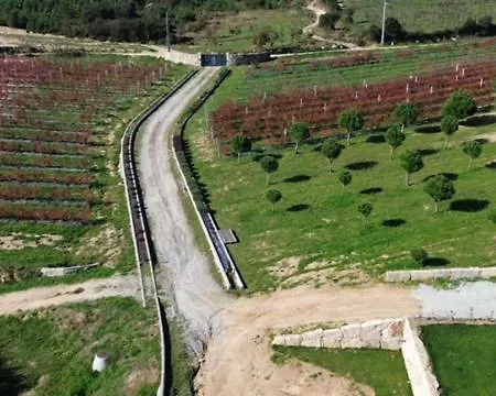 Quinta Do Carregal Vakantiehuis *