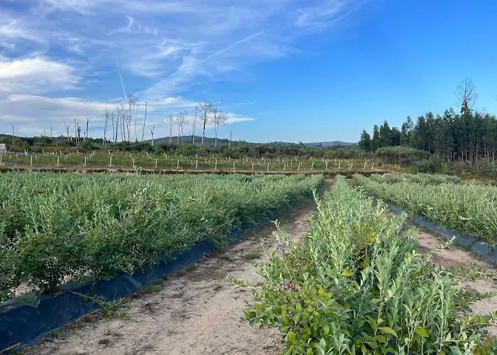 Quinta Do Carregal Mangualde